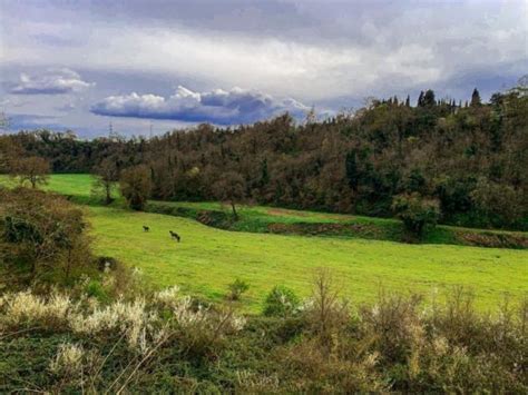 bakeca livorno|Bakeca Incontri, Incontri in Italia